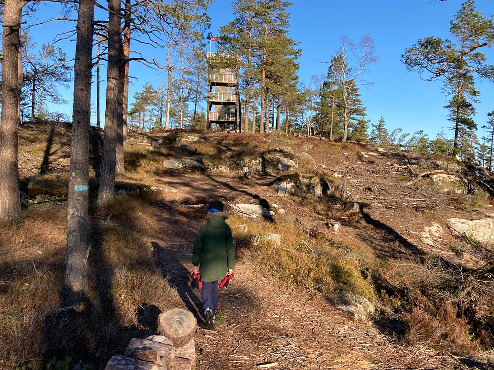Snart ved tårnet på Mjærskaukollen.