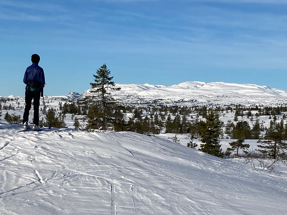 Utsikt mot Blefjell.