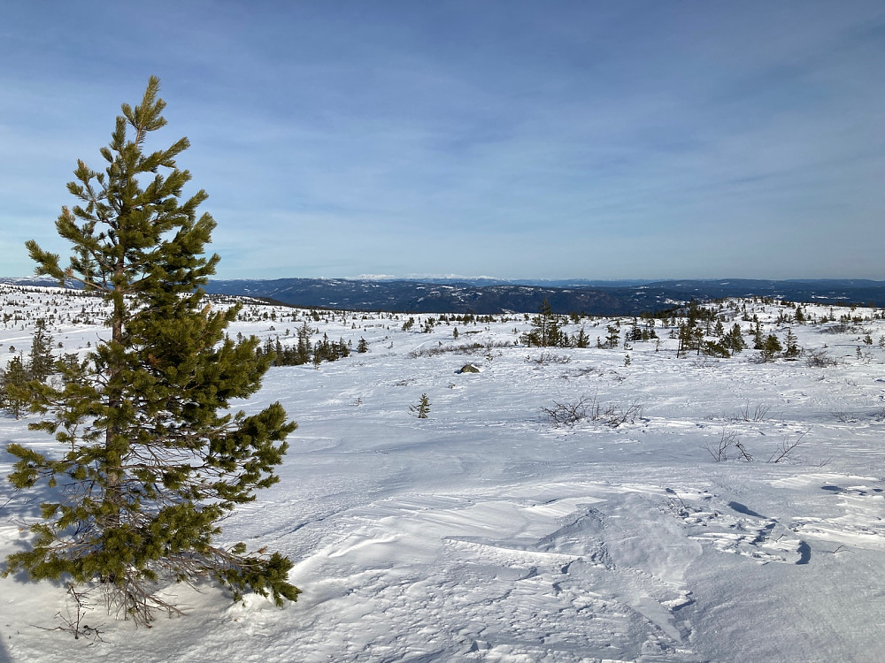 Utsikt fra Strutåsen.