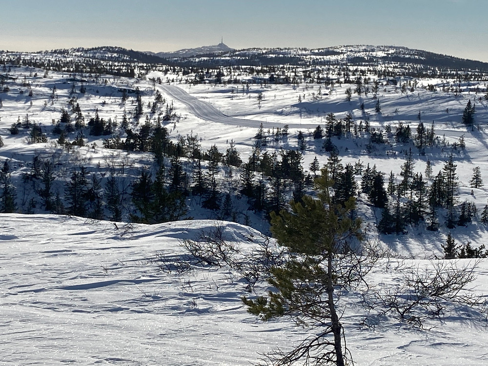 Utsikt fra Strutåsen.
