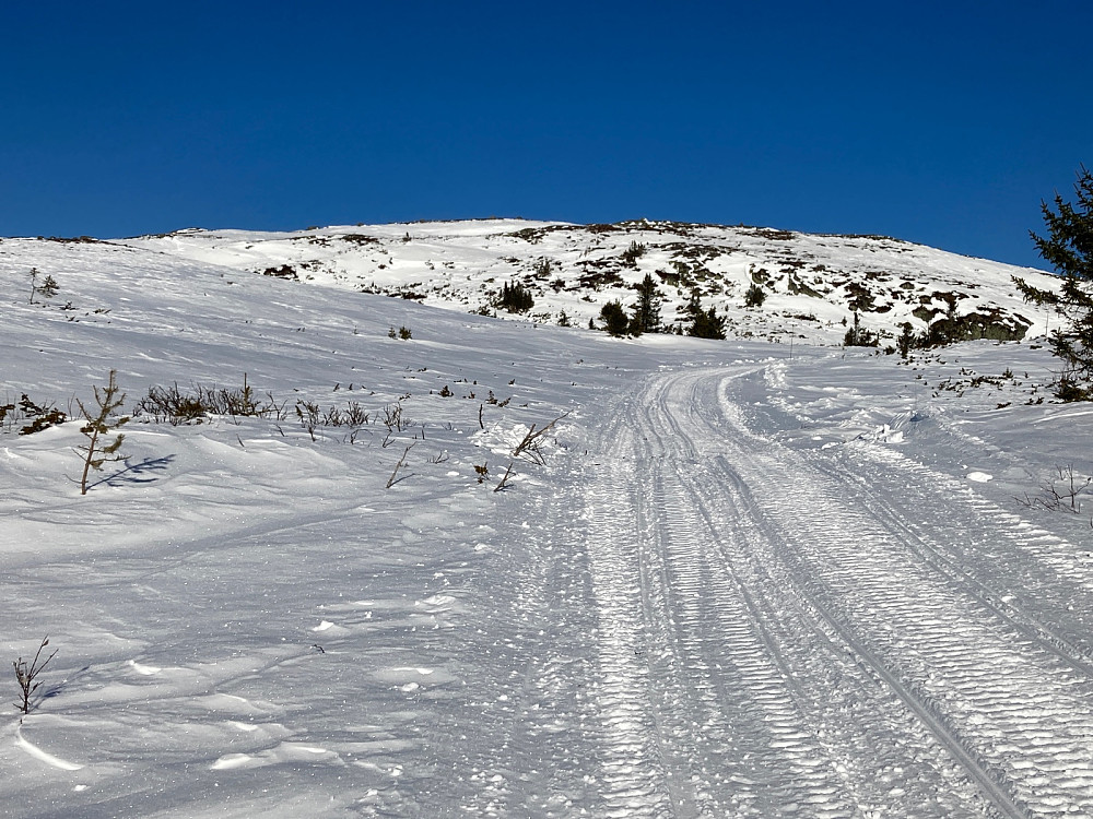 Litt dårligere skispor noen steder fordi løypemaskinen var ødelagt. Vardefjell i bakgrunnen.