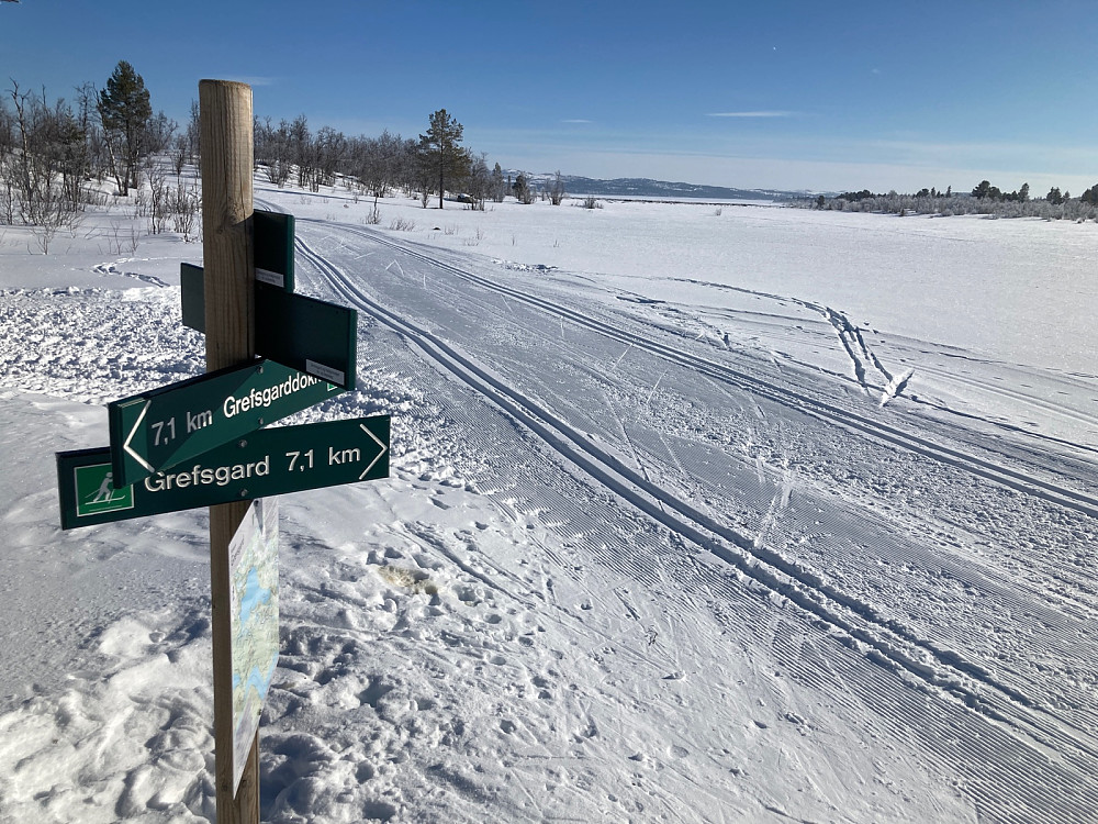 Rødungen kan skimtes i det fjerne.