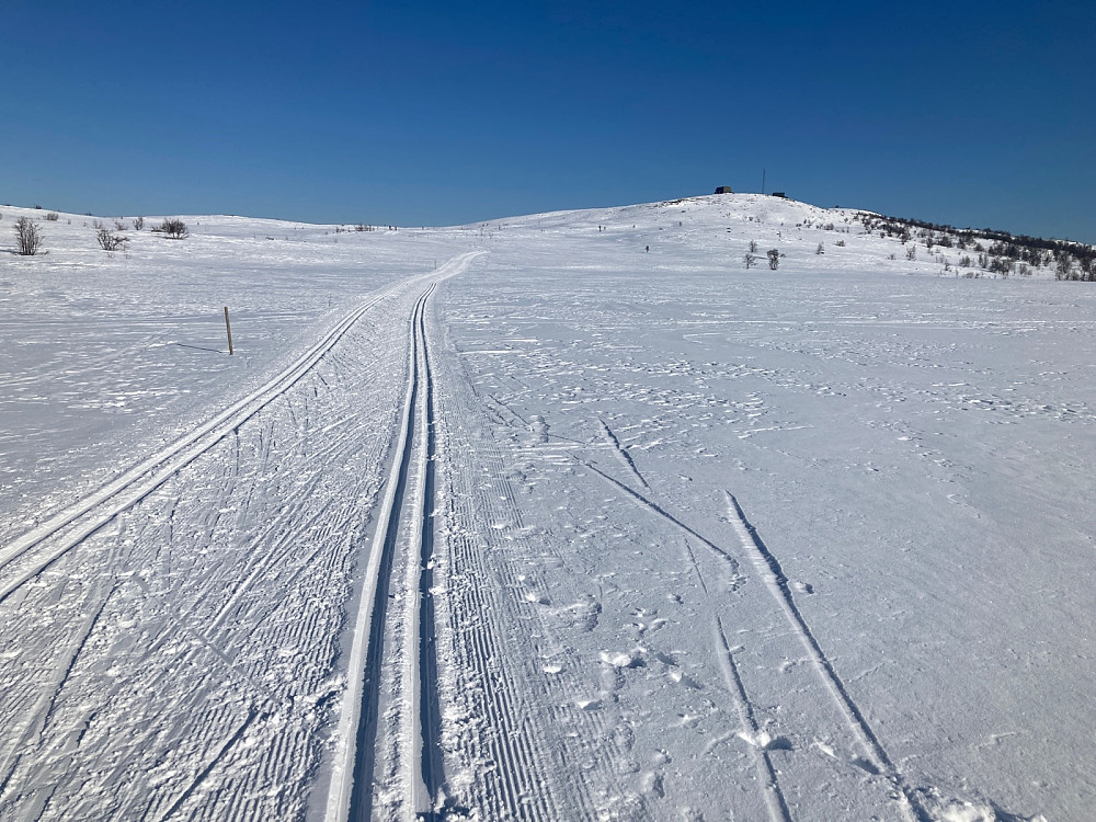 Fine skispor opp mot masten på Tjørnåsen.