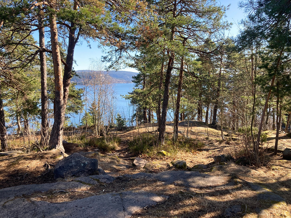 Utsikt mot Drammensfjorden.