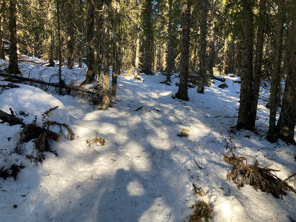 Skuterløypa opp til Finnstad var heller dårlig, men det gikk likevel greit å komme frem her sammenlignet med det som ventet.