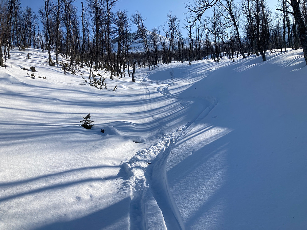 Planen var å kjøre ned denne renna etter toppturen, litt lite snø kanskje, men grei styresnø. Dessverre fant jeg på noe annet.