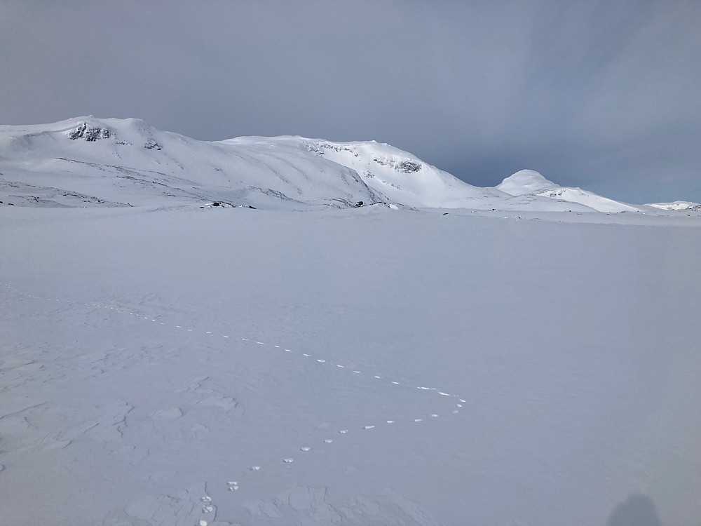 Hele ryggen på Sulefjellet og Suletind som en sukkertopp til høyre.