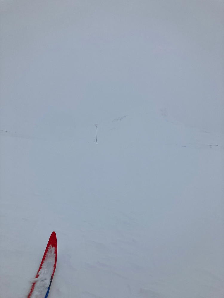 En skitupp, en løypekvist og et svakt omriss av nedre deler av Suletind.
