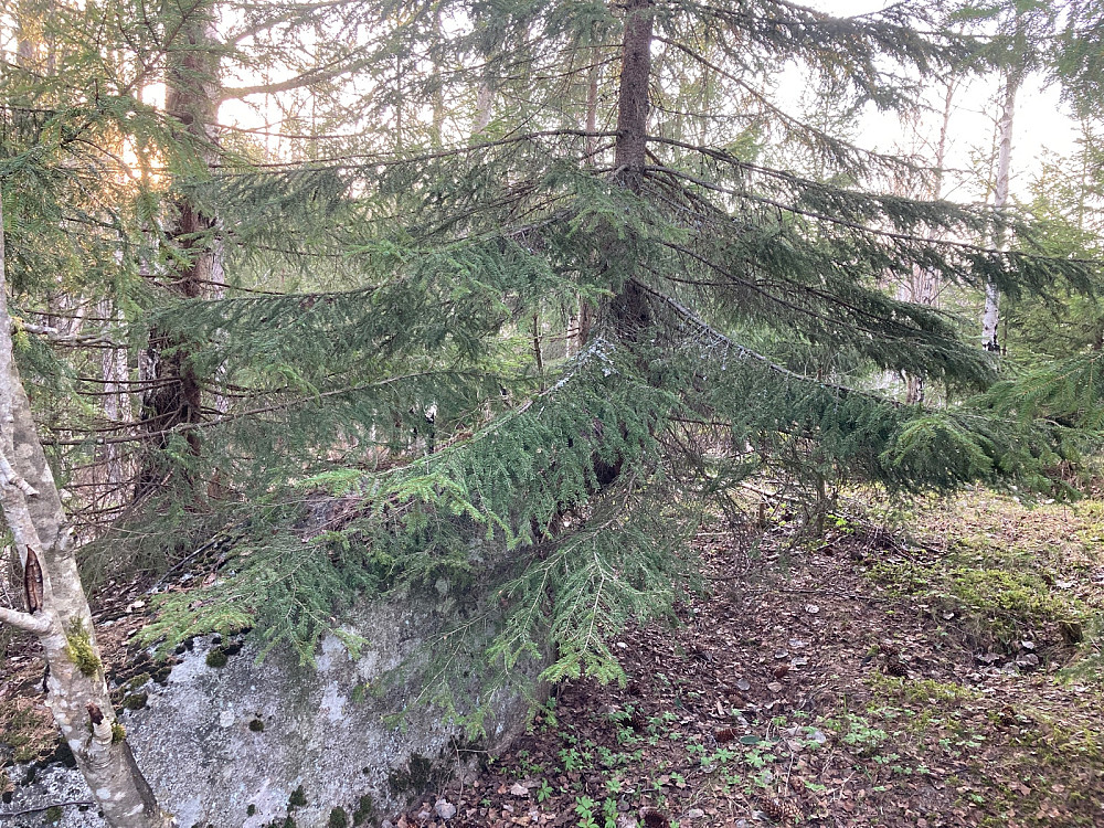 Tror fastmerket er under her et sted.