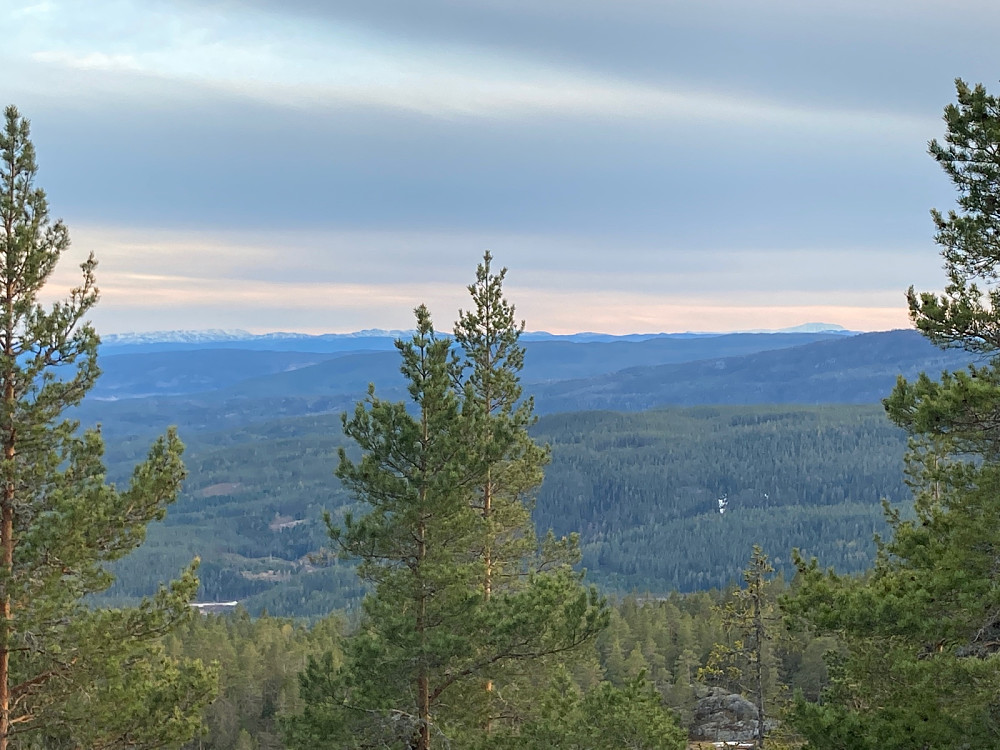 Utsikt mot Blefjell (tror jeg) til venstre og Gaustatoppen til høyre.