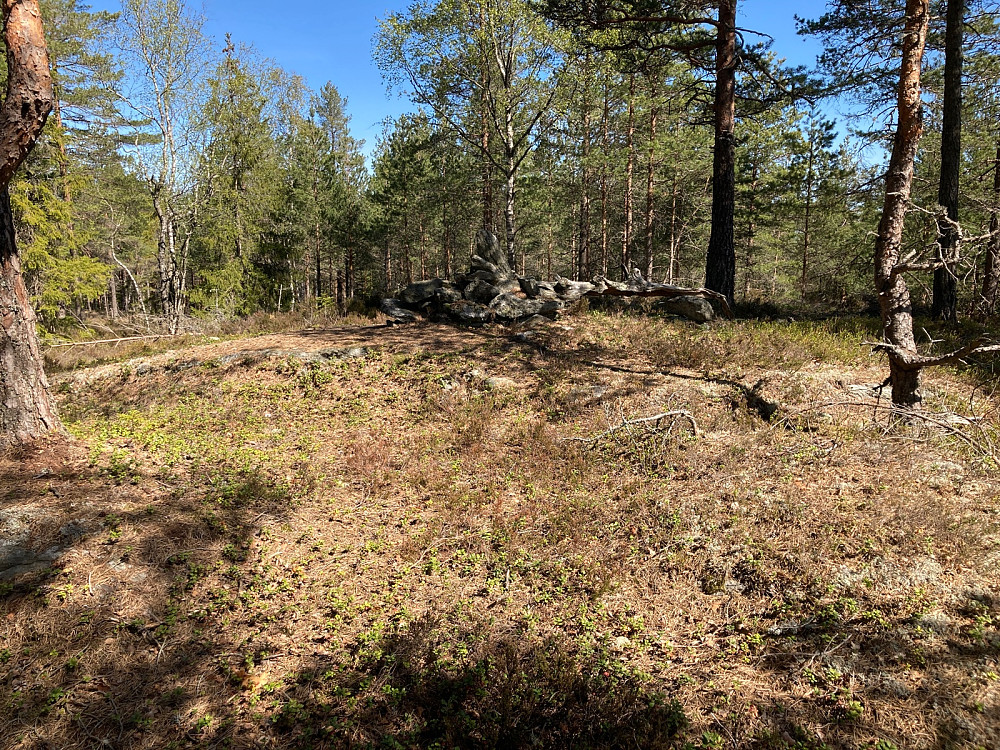 Toppen av Røysås.