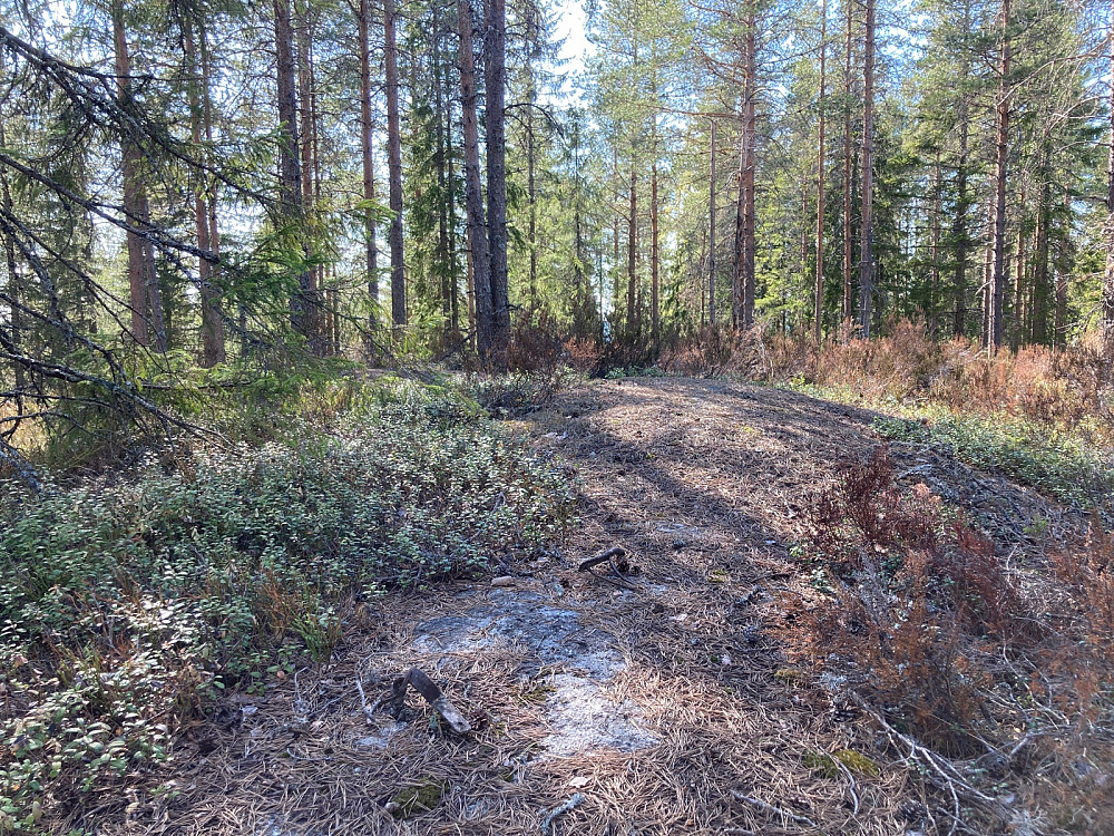 Toppen av Lembruheia.