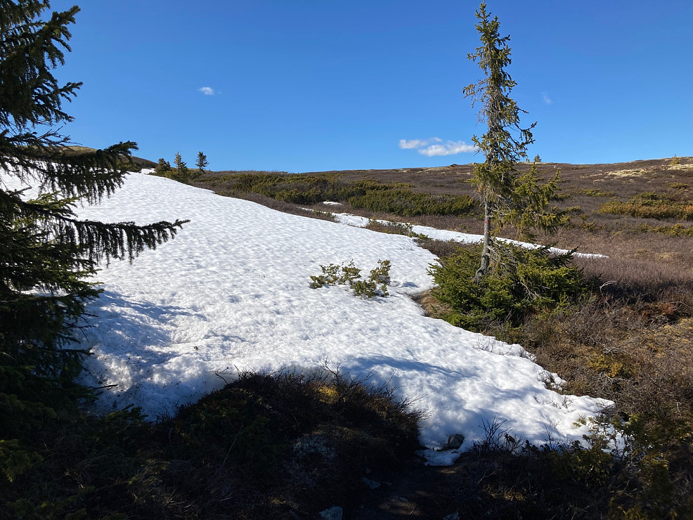 På stien fra Nyset til Nysetfjellet lå det stedvis fortsatt noe snø.