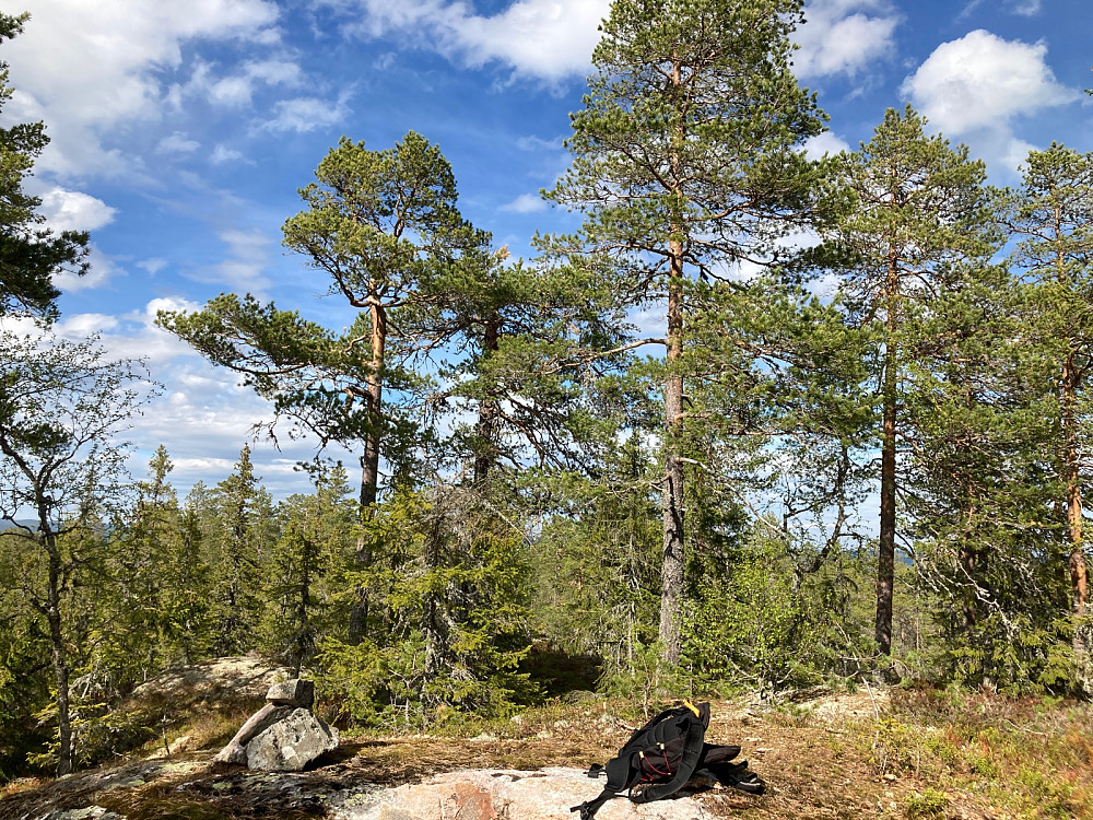 Toppen av Marivollhøgda.
