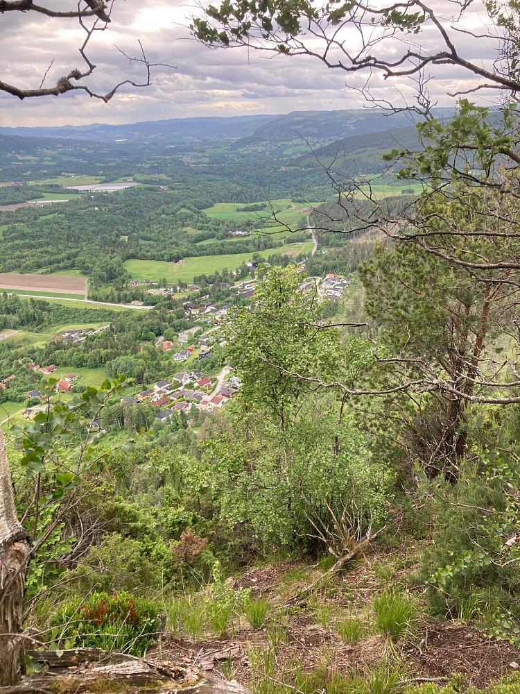 Utsikt fra Hørtekollen Vest ned Lierdalen.