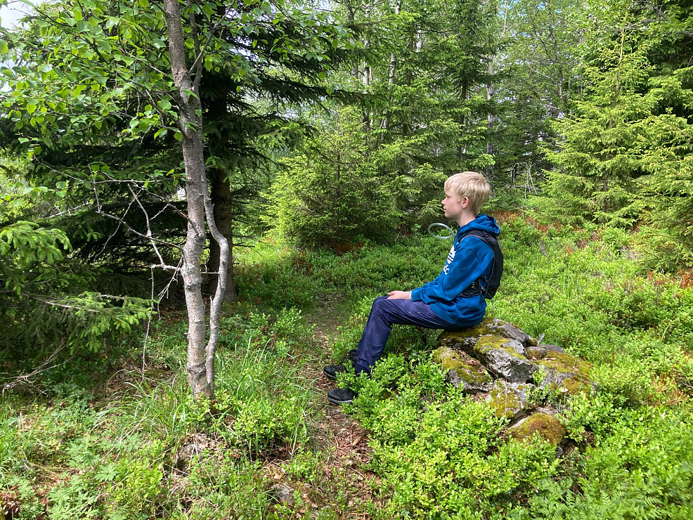 Vegard på Svenskehaugen. Ikke noe særlig utsikt derfra.