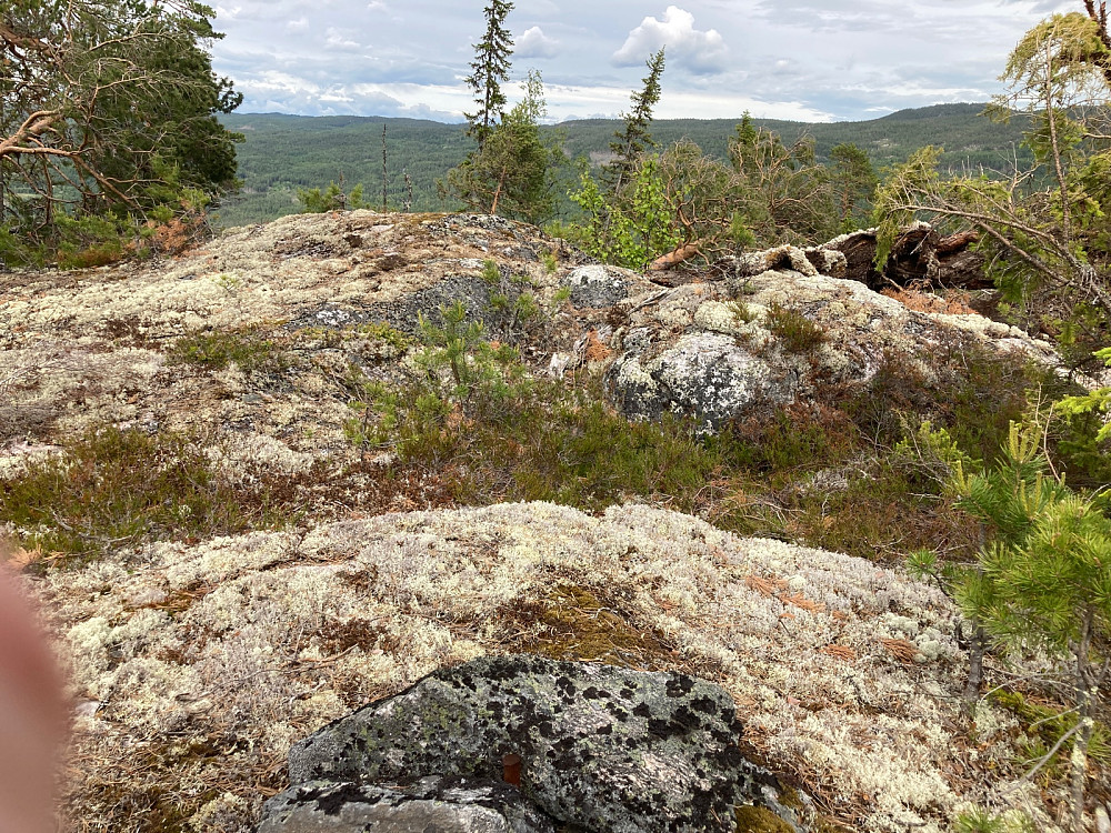 Toppunktet på Linskardberget.