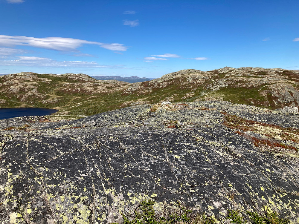 Her er jeg på andre knausen for dagen; Hallandsfjellet V med Rypenattnuten i bakgrunnen til venstre og Hallandsfjellet til høyre.