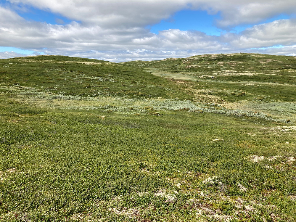 Vedalshøgde til høyre med en varde i toppområdet som kan skimtes.