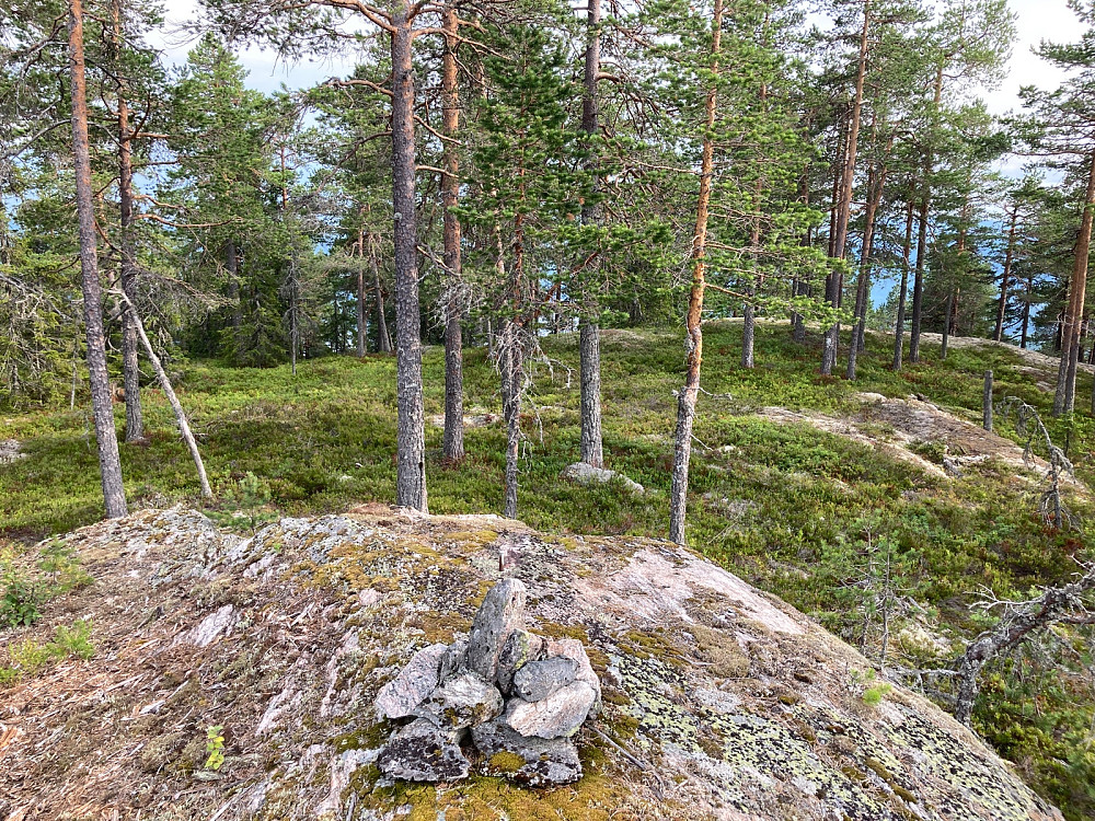 Fastpunktet på Ramberget, ca 160 meter sør for høyeste punkt, som jeg synes hadde fortjent en grønnål.