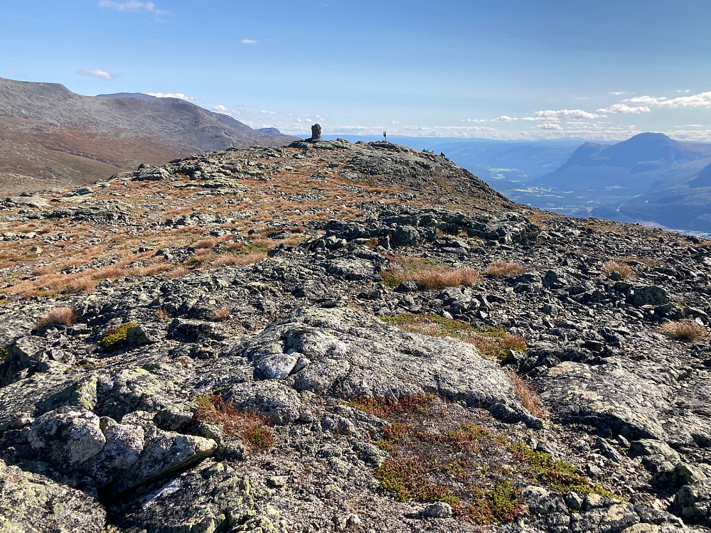 Leinenøsane.