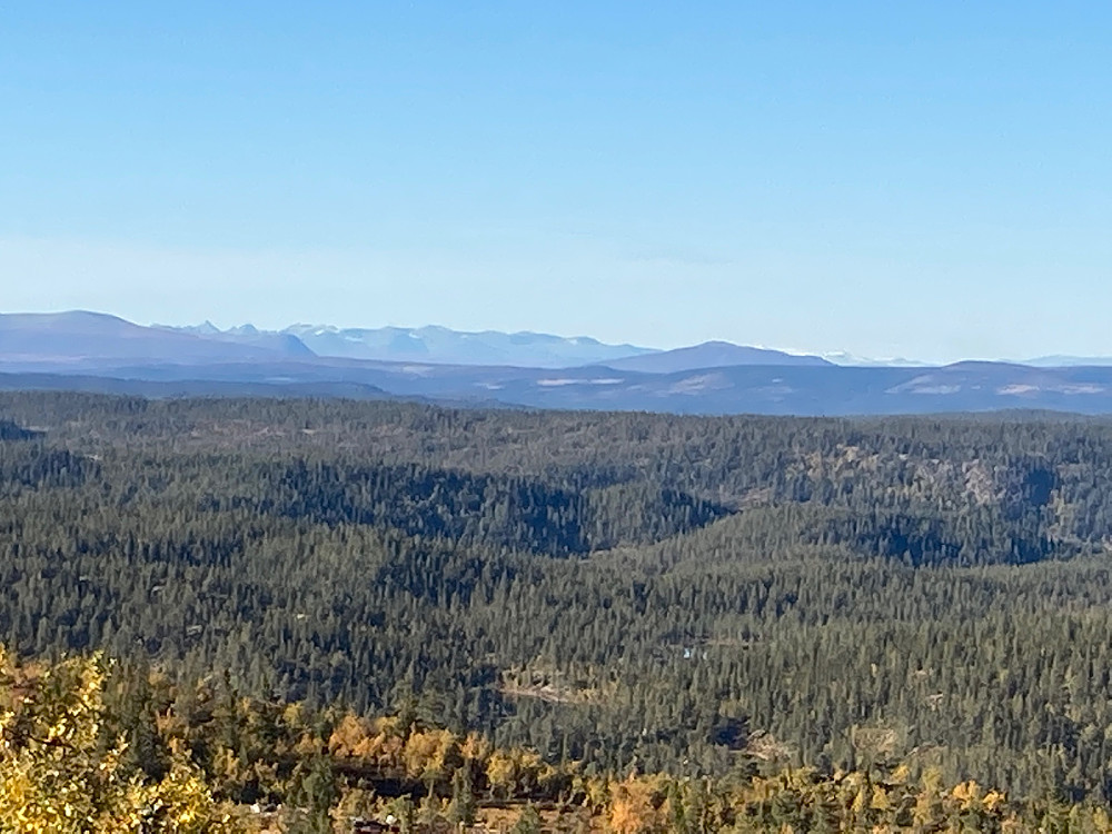 Utsikten til Jotunheimen fra Elghøgde.