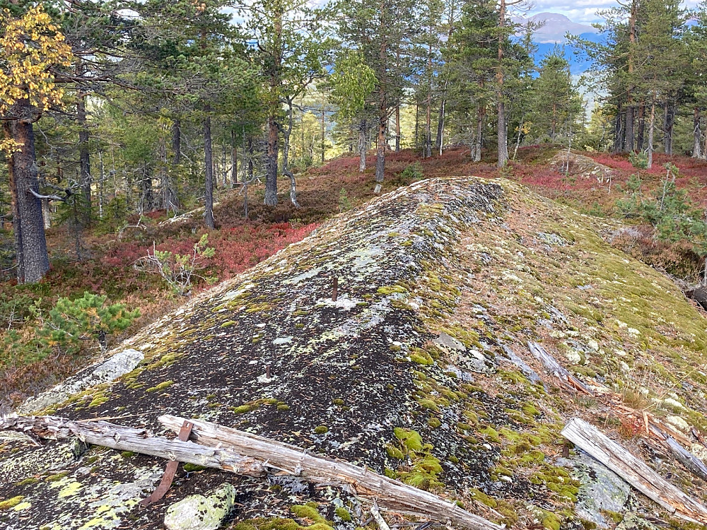 Toppunktet på Ulaåsen.