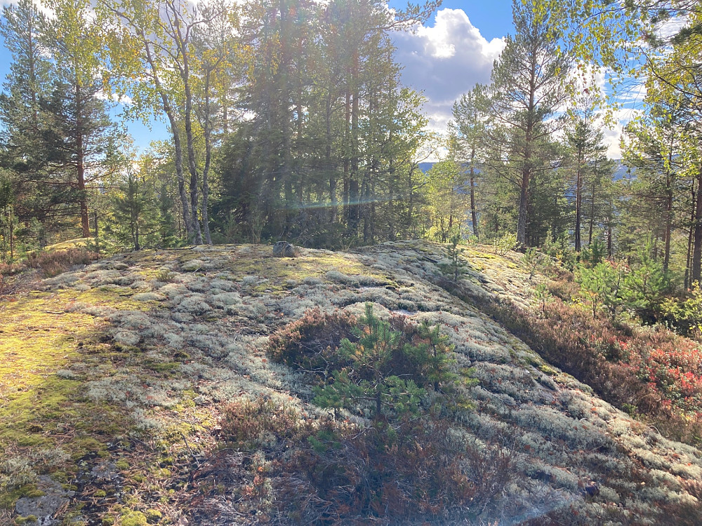 Toppunktet på Ulaåsen Sør.