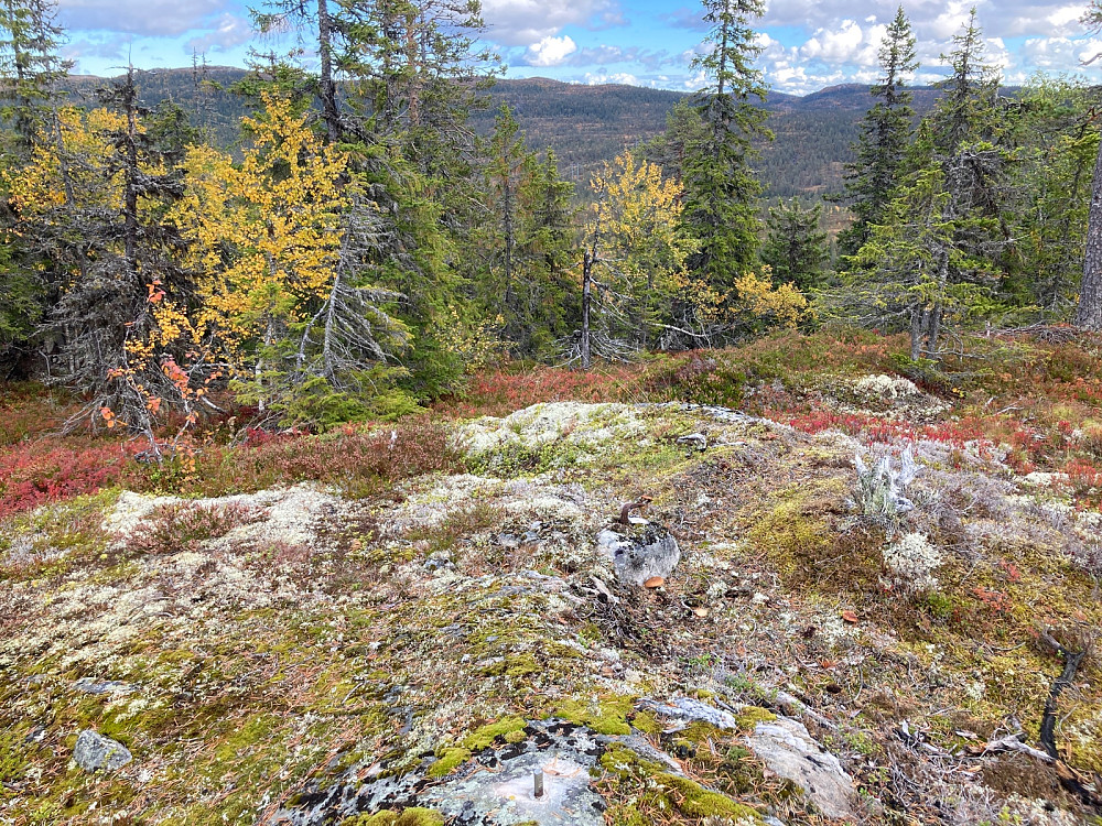 Fastpunktet på Nysethøgde helt nederst i bildet og utsikt til Slettefjell.