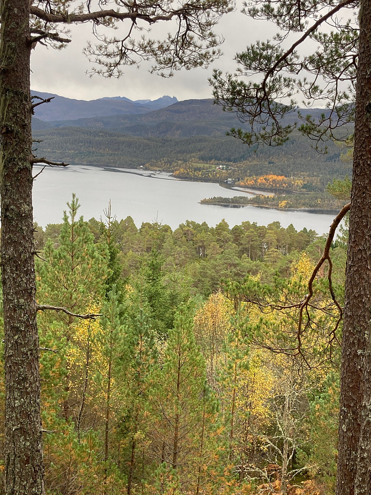 Utsikt sørover mot Lauparen.