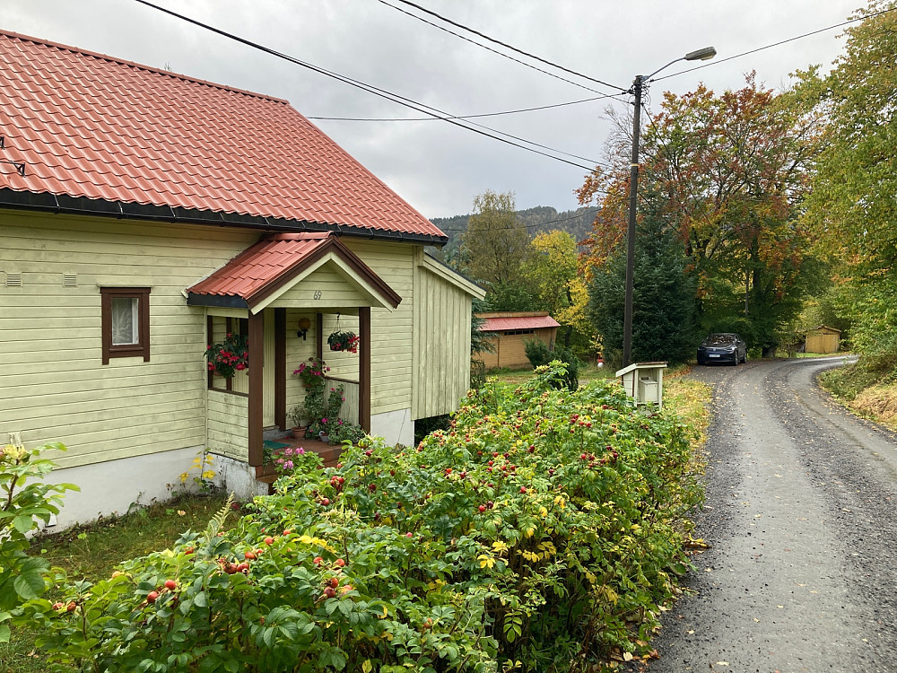 Bilparkering ved Langnesvegen.