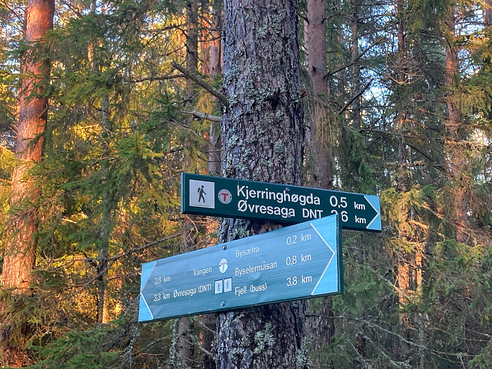 Dette skiltet viste veien til dagens andre topp; Kjerringhøgda.