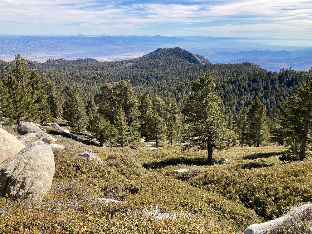 Her nærmer jeg meg toppen og ser tilbake mot der gondolbanen endte. Palm Springs dalen og Salton Sea til høyre.