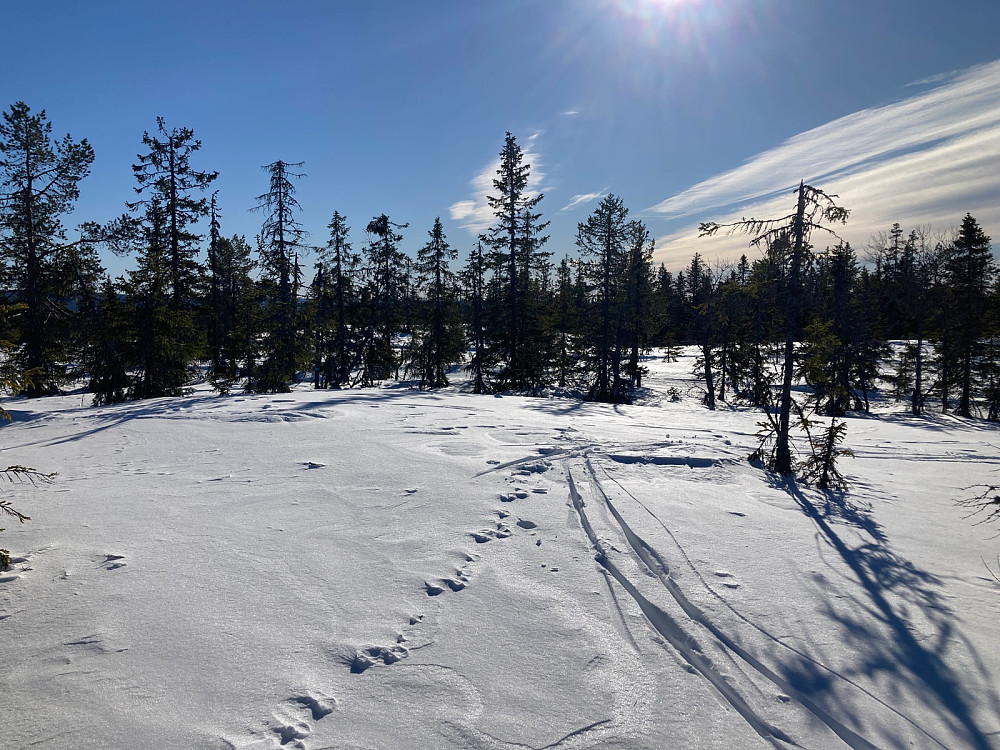 Toppen av Bislingflaka er midt i bildet.