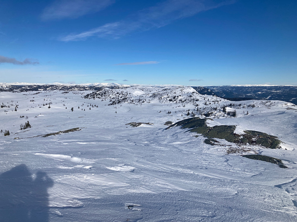 Utsikt nordvestover med Skogshorn som blikkfang.