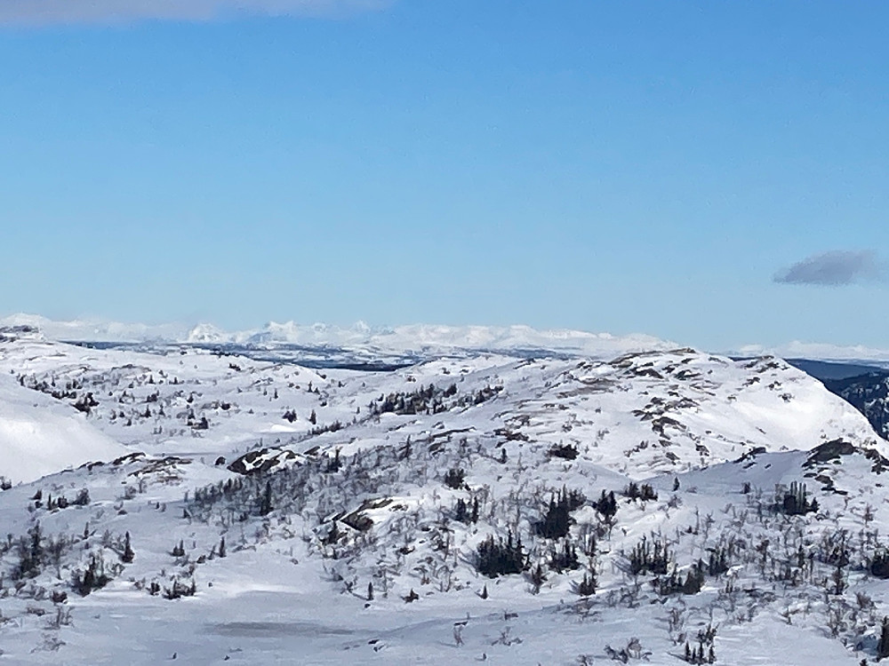 Utsikt til Jotunheimen fra Darren.