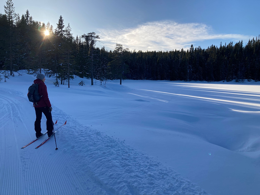 Så langt gikk vi på ski med blå festesmurning. Herfra ble det skifeller over vannet og så opp i skogen omtrent midt i bildet.