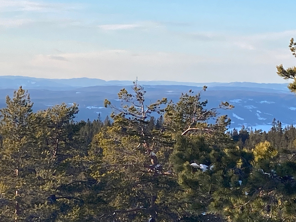 Utsikt langt av gårde til noe noe jeg tror kan være hvite topper i Jotunheimen midt i bildet. Knapt mulig å se på dette innzoomede bildet.