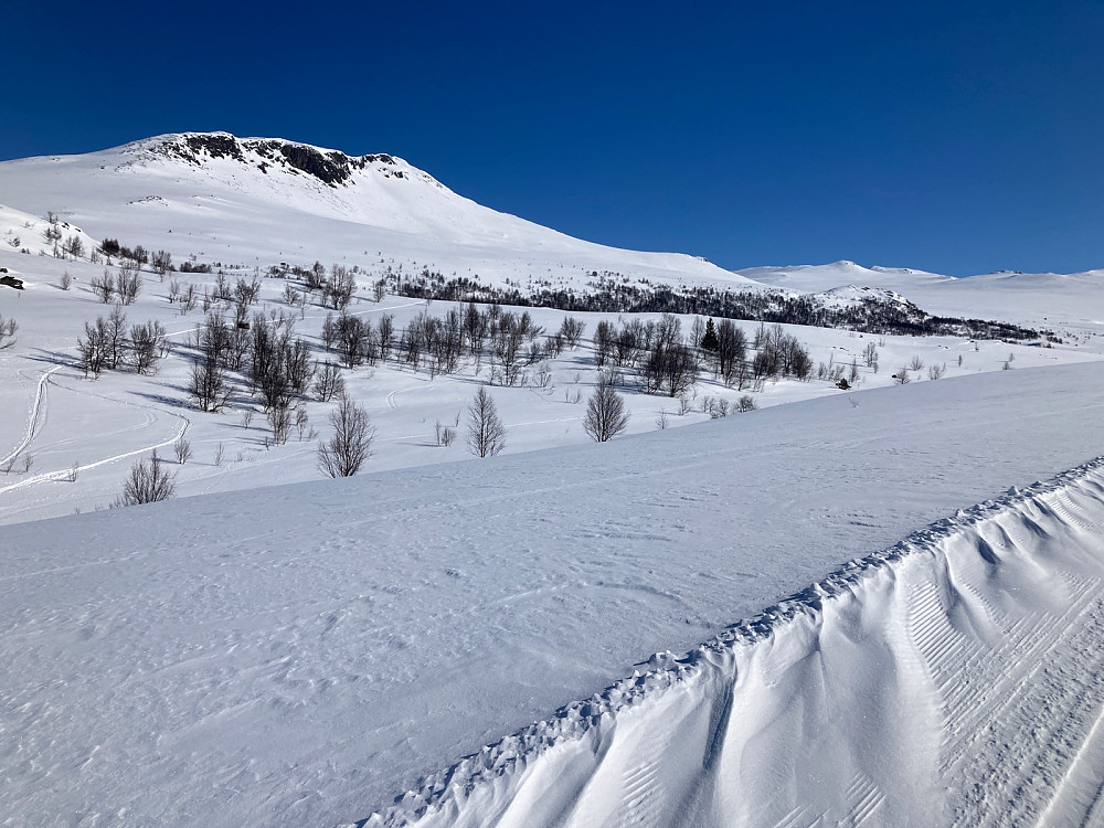 Harahorn til venstre som burde vært målet for dagen hensyntatt tungt skiutstyr. Toppturmålet mitt er et fjell bak fjellene til høyre for Harahorn.