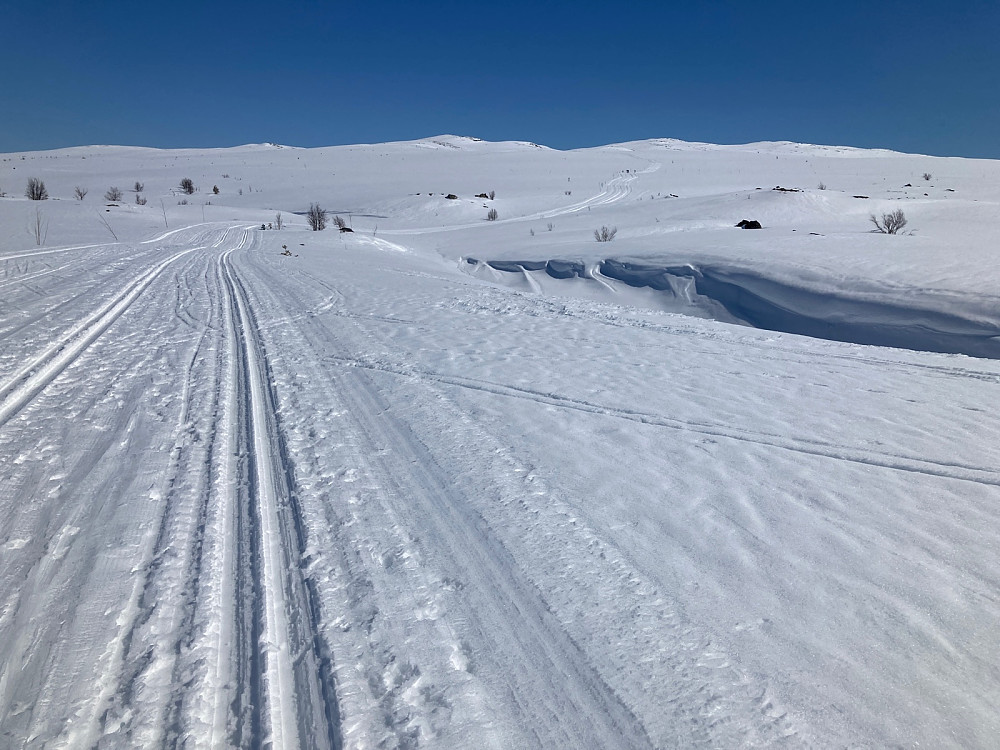 Bare noen hundre meter fra Vasstulan. Løypa vi fulgte ses oppover og innover fjellet.