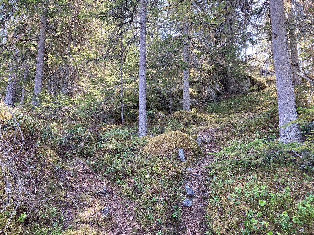 Slike stier fulgte jeg stedvis på turen.