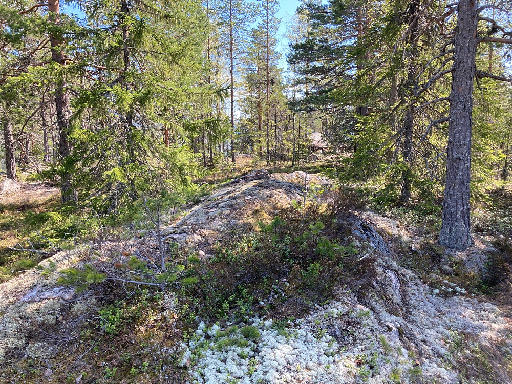 Enten er dette toppunktet, eller knausen ca 20 meter lenger bak i bildet.