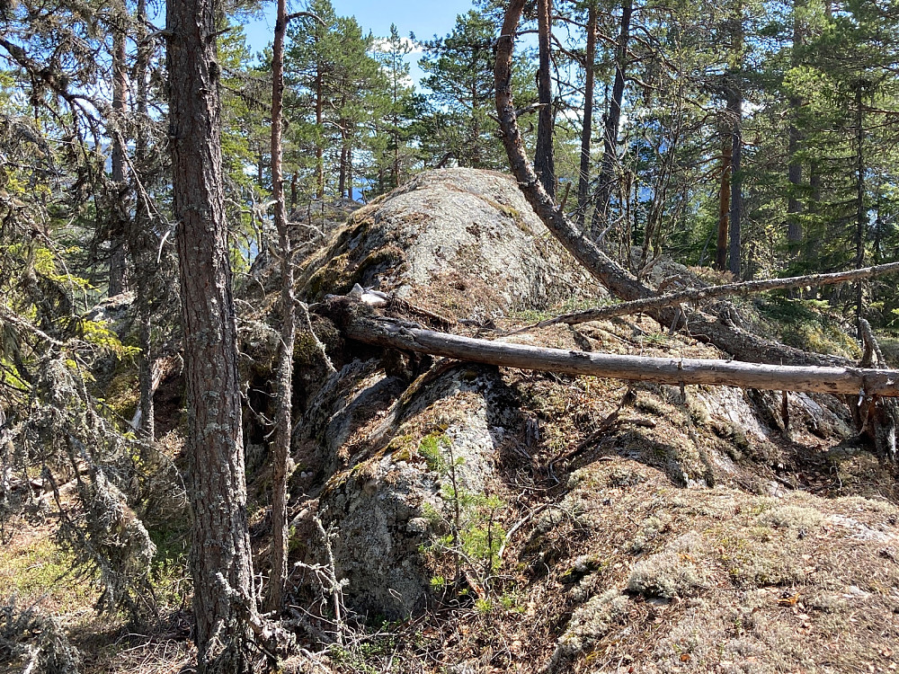 Dette er altså knausen som kunne ses lengre bak i bildet.