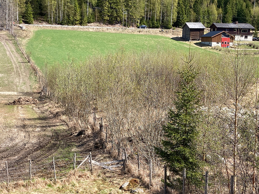 Praktisk sted å parkere bilen i en lomme langs veien. Bilen ses midt i bildet helt øverst. Piggtrådgjerdet er helt nederst i bildet.
