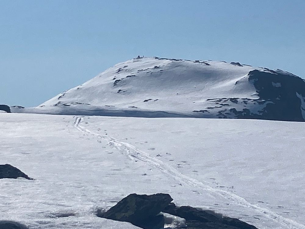 To stykker med randoneeutstyr ble observert på Søre Urevassnutane.