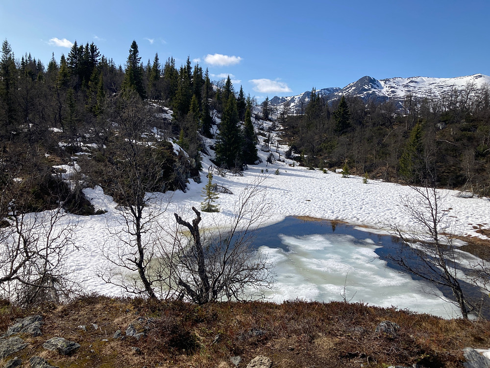 Her ses det en del snø i skyggefulle partier nord for Storhovda. Bildet er tatt omtrent rett vestover fra stien mot Stakkestøhovda.