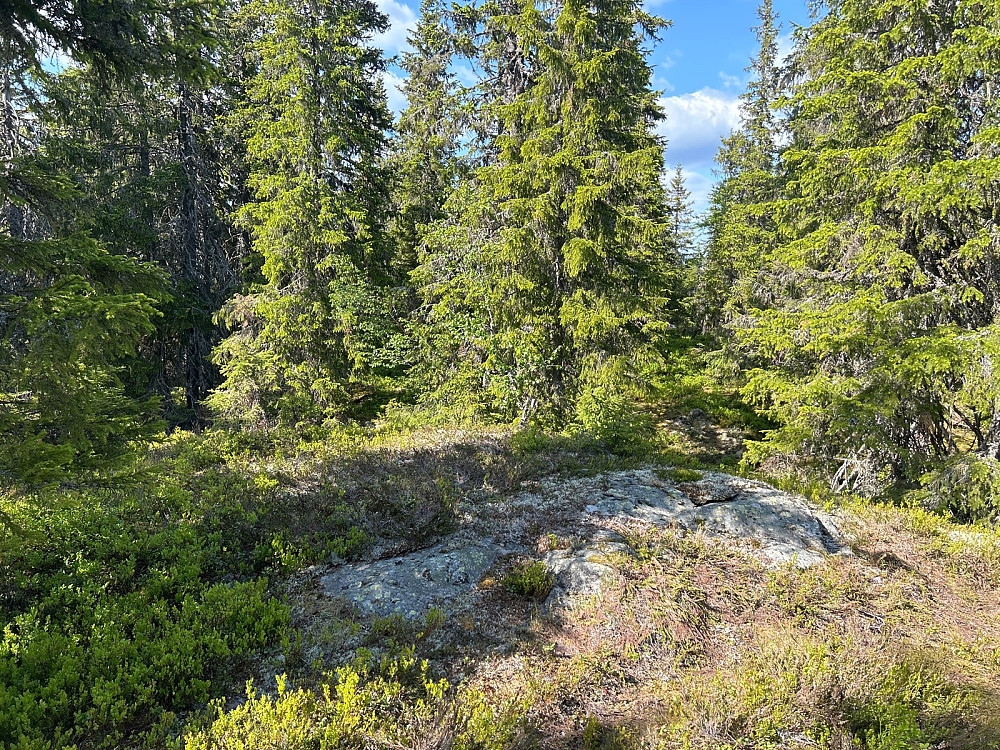 Toppområdet.