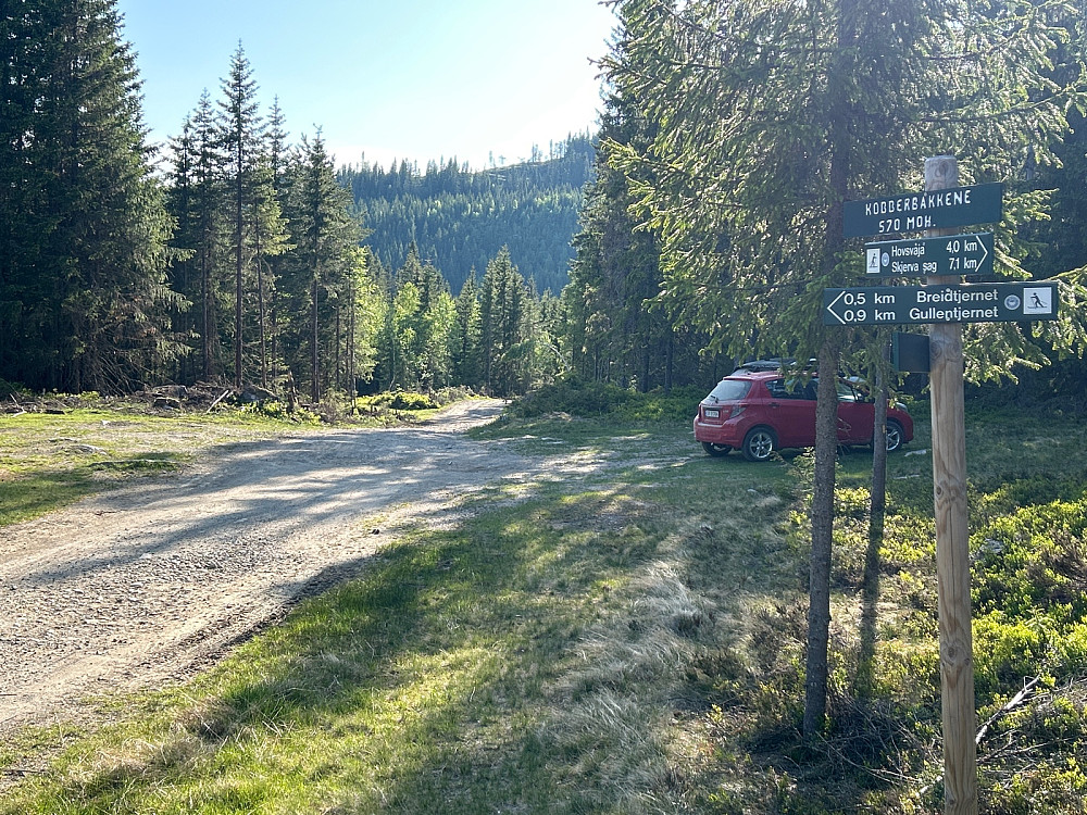 Stort område for parkering av bilen.