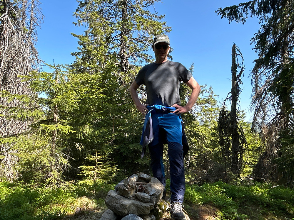 Toppvarden på Helgehaugen