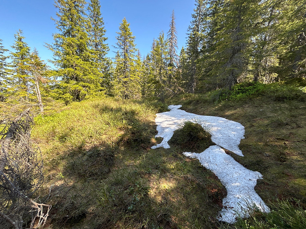 Den eneste snøflekken vi så på turen.